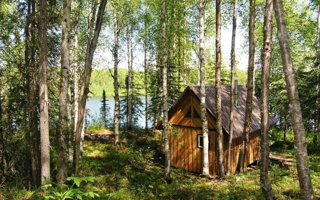 Talkeetna Lakeside Cabins Denali Exterior photo